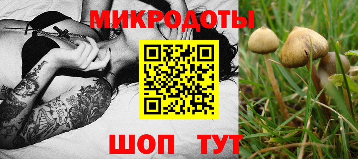 Галлюциногенные грибы Cubensis  Вход с VPN  Псилоцибиновые грибы мицелий  Балашиха 