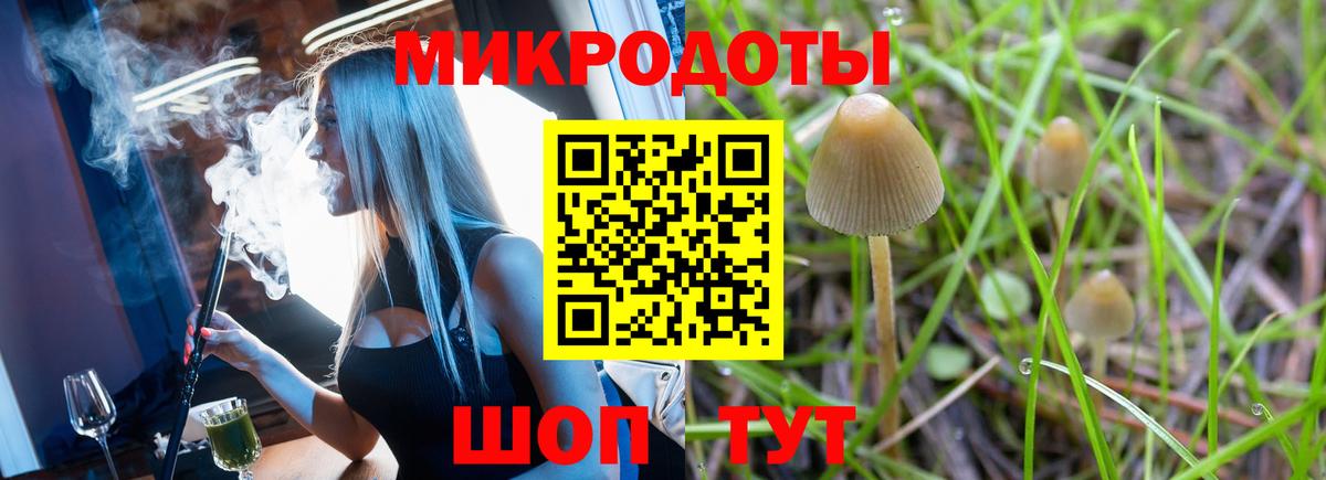Галлюциногенные грибы прущие грибы Балашиха